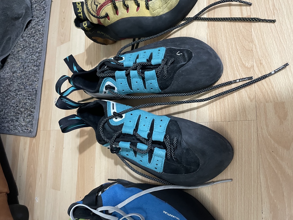 Misty Mountain, climbing shoes 41.5/9, TX Guides size 9