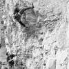 Mike Cronin belaying Dale Snyder on Crucifixion, Skeletal Remains.  