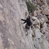 Post crux on Poodles are People Too, Joshua Tree