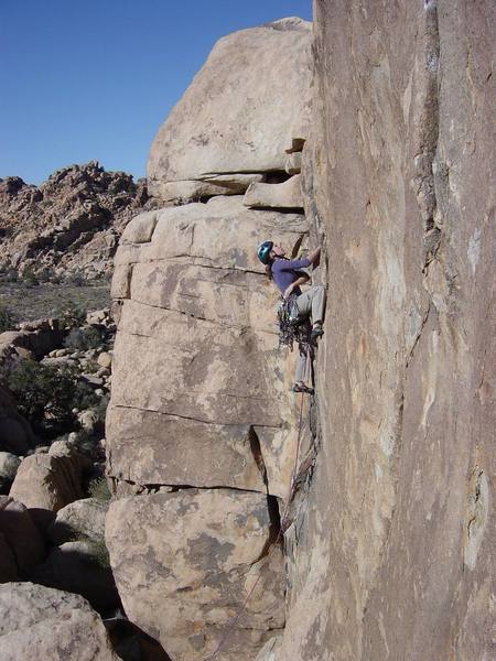 Cusing up the Sport Challenge wall. Joshua Tree, CA