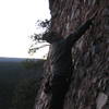 Patric Climbing at El Rito (route unknown).