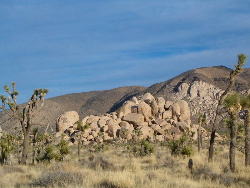 The Love Nest area as seen from the road. The seldom visited Cowboy Crags are visible in the far background.