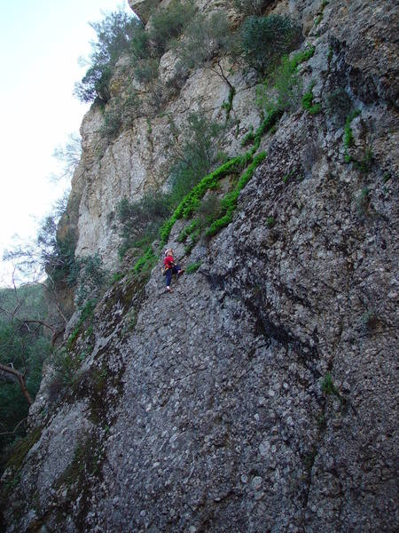 Ten-year-old Ethan Blanchard at the top of <em>Cobble Climb</em>. Photo by Ashley Blanchard.