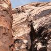 Looking up at the aesthetic crack on pitch 2 of Olive Oil.