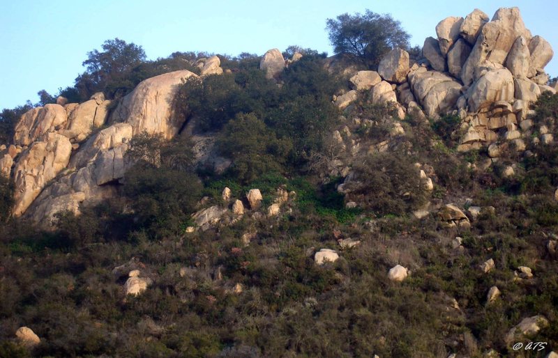 Dixon Lake Climbing Area   