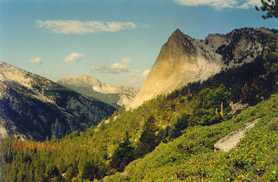 Charlotte Dome from the eastern approach. Descent goes down the right skyline to the notch, then down the curving gully past the trees.