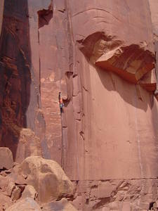 Lindsay leading Mad Dog