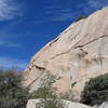 Iguana Dome