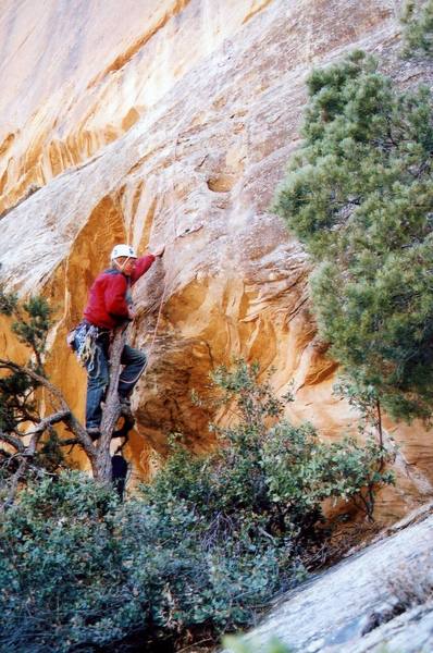 Start of the route.  You can avoid the tree by starting 5 ft left, but you still have to step on the tree to clip the bolt.