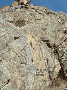 The Young and the Rackless.