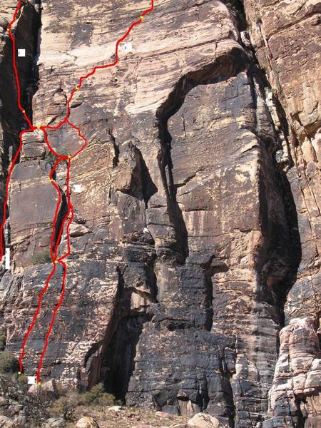 Birdland Area Variations<br>
1) Pazookieland Variation<br>
2) Bighorn<br>
3) Lower Birdland Variations