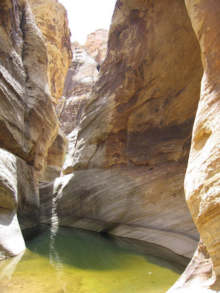 A favorite water hole in Red Rock.