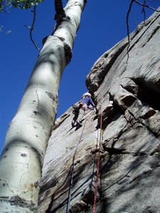 Nice lighting, not much action on P1.<br>
Photo by Luke Clarke.