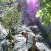 Mike Edmond at the base of [[105822413]]. The dihedral is visible just above the small tree.