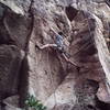 That was quite a stem!  <br>
Route info: Nested Holons 5.10a, on Philosophy Wall at Crawdad Canyon. 4/21/06