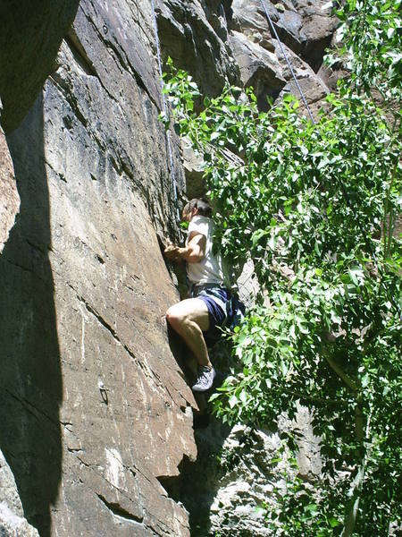 Bjorn Thorn-Anderson struggles through foliage and the crux.