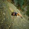 Peter Spindloe follows the crux of the NorthWest Passage on the 3rd FLatiron, (sandbag 5.10a) Circa 2002.