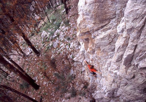 Another angle on Clip Clip Here, Clip Clip There (5.9). Taken from about halfway up Dark Side of Oz with a 28mm lens, hence the slight distortion. Photo by Hillary Davis. Originally appeared in Rock & Ice #140.