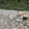 Looking back at pitch 3 of Salmfire. Yes, those rocks are very loose.