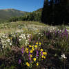 Near Vail Pass.