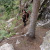 This view looks down the North Trail from the belay for Jungle of Stone and Black Rain.  This trail was cleared and partially rebuilt in the first week of August, 2006 and makes the north side approach a piece of cake.