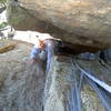 Jake following the first pitch of Tiger's Tooth.