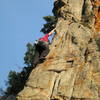 Ron Olsen latching the great horn just above the bolt.<br>
<br>
Photo by Marga Powell.