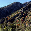 Wasatch, Autumn.<br>
Photo by Blitzo.