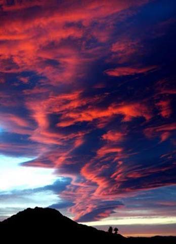 Joshua Tree sunset.<br>
Photo by Blitzo.