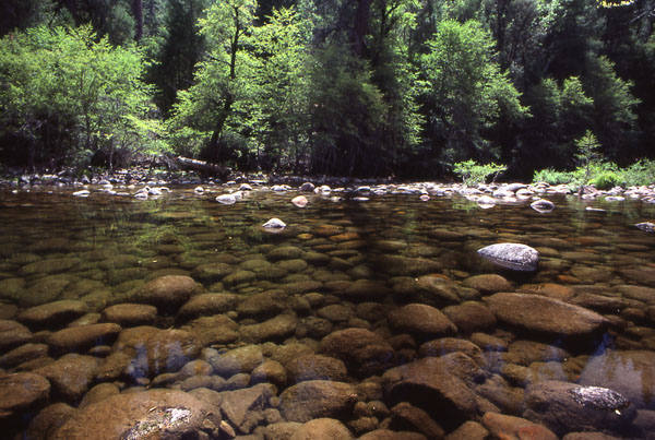 Merced River-Happy Isles.<br>
Photo by Blitzo.