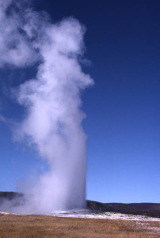 Old Faithful geyser.<br>
Photo by Blitzo.