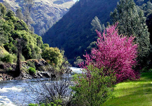 Merced River Canyon, below El Portal, CA.<br>
Photo by Blitzo.