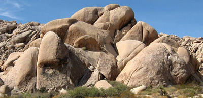 Zippy Rock.<br>
Photo by Blitzo.