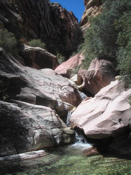 Somewhere up the south fork of Pine Creek in April.