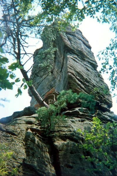 This is a view of the upper part of the pinnacle from the NW near the main cliff. The second pitch goes up the concave face.