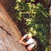 Steve Kauffman climbing Into the Purple Valley