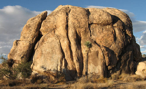 Lizard's Hangout-West Face.<br>
Photo by Blitzo.