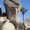 Up 40 (5.11b) runs the overhanging crack on the sunlit south face in the photo. 