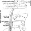 Route topo for The Transition Zone. Topo courtesy of Bernard M.E. Moret, creator of the [[Palomas online guide]]http://www.cs.unm.edu/~moret/crag.html.