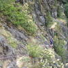 Brad Farris on the traversing second pitch.  Anchors for the pitch are between the two trees on the slopy ledge above and to the right of the climber.