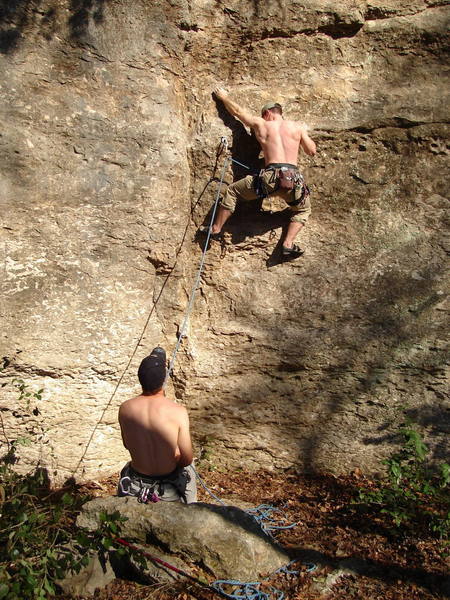 Georgetown Limestone