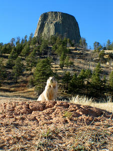 Prairie dog and the Tower.