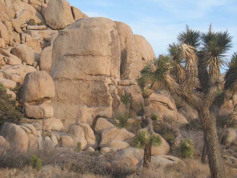 Zombie Woof Rock, Northwest Face - Bats With Aids (5.10b) climbs the face past two horizontals.