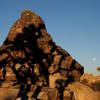 J-Tree shadow on stone-Roadside Rocks Area.<br>
Photo by Blitzo.