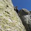 Josh Janes on the second pitch of Love Potion #9, Needles.