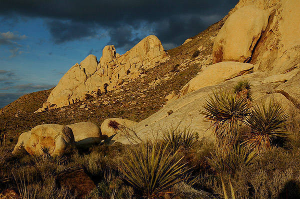 Saddle Rocks from near Target Rock.<br>
Photo by Blitzo.