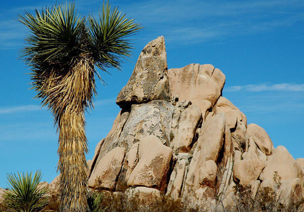 Rock Climbing in Stirrup Towers, Joshua Tree National Park