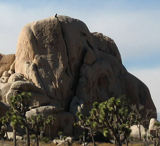 Climber at the top of "Strawberry Jam".<br>
Photo by Blitzo.