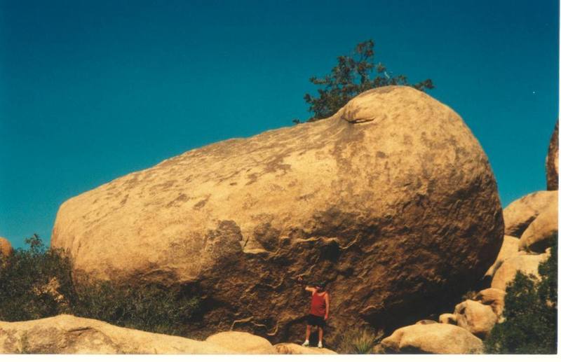 One of a million Joshua Tree pebbles  