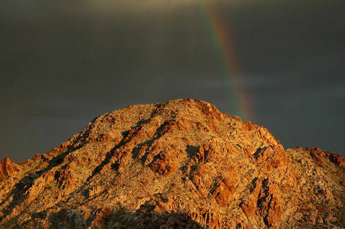 Desert Rainbow.<br>
Photo by Blitzo.